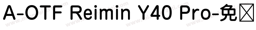 A-OTF Reimin Y40 Pro字体转换
